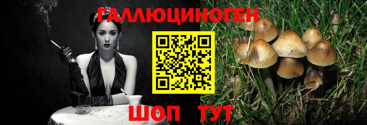 Горячий Ключ  Псилоцибиновые грибы мицелий  Вход с VPN  Псилоцибиновые грибы Magic Shrooms 